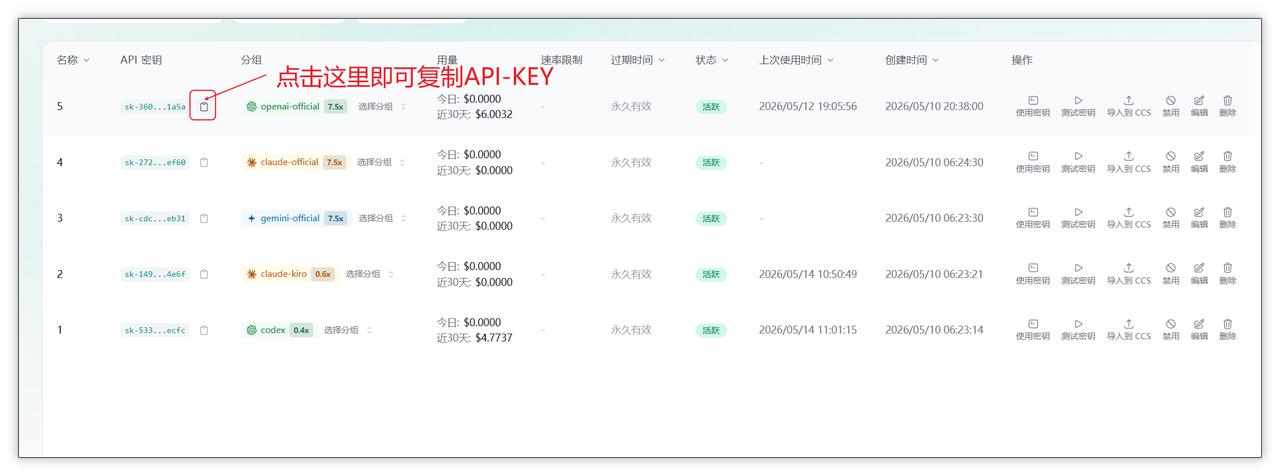 复制 API Key